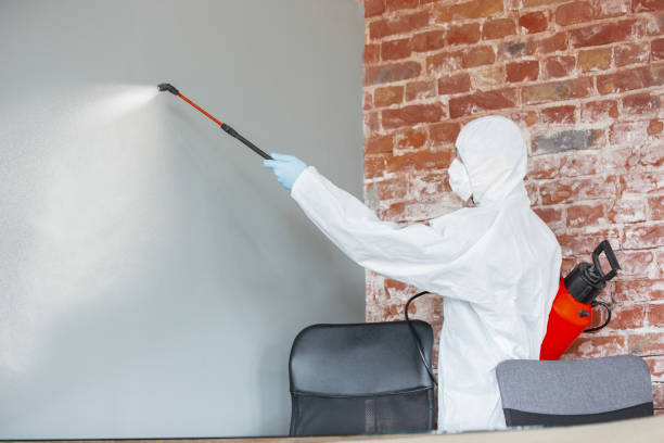 Best Industrial Mold Remediation  in Bolivar, WV