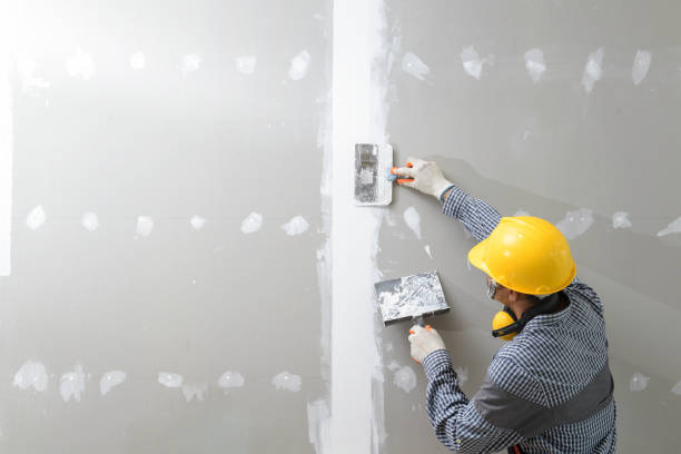 Professional Mold Removal in Bolivar, WV