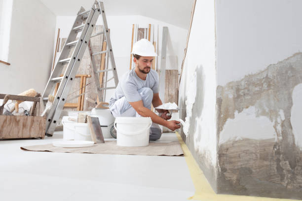 Best Mold Odor Removal Services  in Bolivar, WV