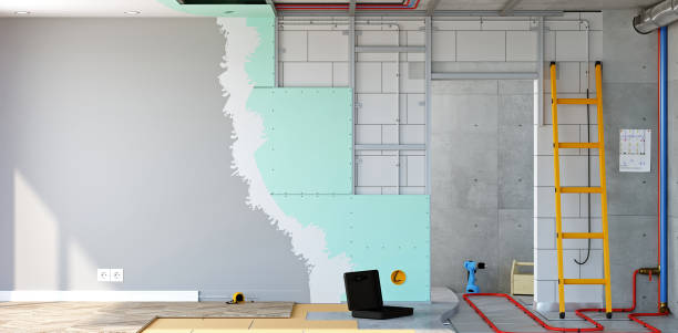 Best Mold Damage Restoration  in Bolivar, WV
