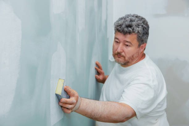 Best Real Estate Mold Inspection  in Bolivar, WV