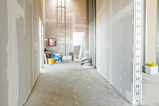 Best Water Damage & Mold Remediation  in Bolivar, WV