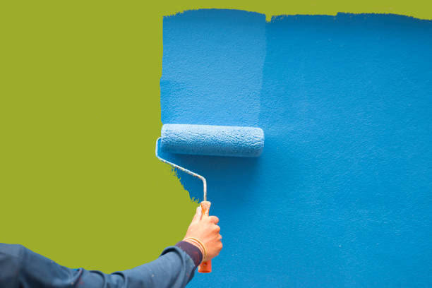 Best Basement Mold Removal  in Bolivar, WV